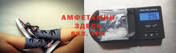 амф Алзамай