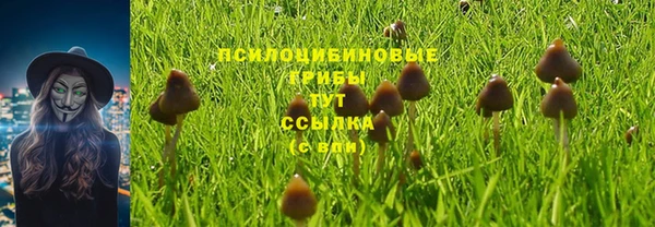 дживик Абинск