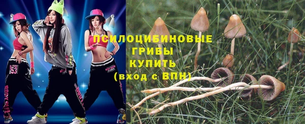 амф Алзамай
