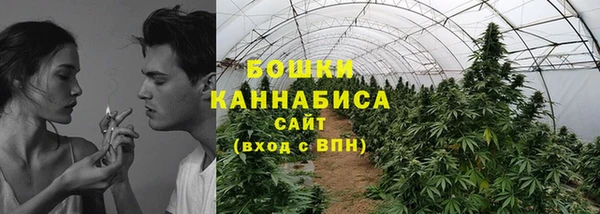 PSILOCYBIN Алексин