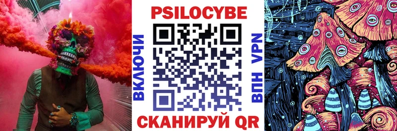 Галлюциногенные грибы Psilocybine cubensis  Нерехта 